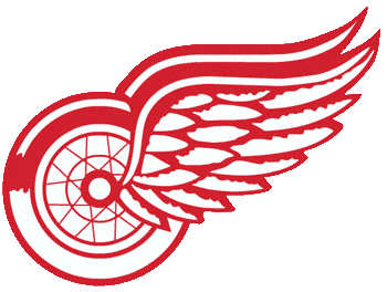 Detroit Red Wings 1973-1984 Alternate Logo DIY iron on transfer (heat transfer)